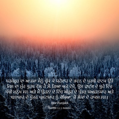 Picture 03 - ਹਿਜ਼ਕੀਏਲ 11:1 PANIRV - ਪਰਮੇਸ਼ੁਰ ਦਾ ਆਤਮਾ - Bible Verse Picture