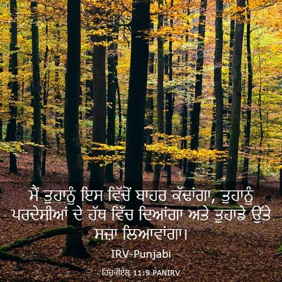 Picture 03 - ਹਿਜ਼ਕੀਏਲ 11:9 PANIRV - ਮੈਂ ਤੁਹਾਨੂੰ ਇਸ - Bible Verse Picture