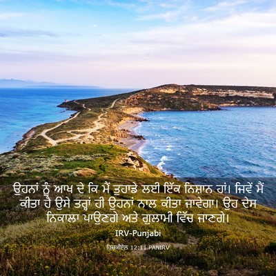 Picture 03 - ਹਿਜ਼ਕੀਏਲ 12:11 PANIRV - ਉਹਨਾਂ ਨੂੰ ਆਖ ਦੇ ਕਿ - Bible Verse Picture