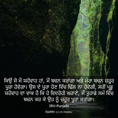 Picture 03 - ਹਿਜ਼ਕੀਏਲ 12:25 PANIRV - ਕਿਉਂ ਜੋ ਮੈਂ ਯਹੋਵਾਹ - Bible Verse Picture