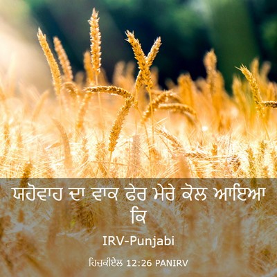 Picture 03 - ਹਿਜ਼ਕੀਏਲ 12:26 PANIRV - ਯਹੋਵਾਹ ਦਾ ਵਾਕ ਫੇਰ - Bible Verse Picture