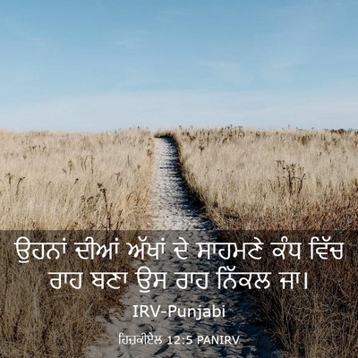 Picture 03 - ਹਿਜ਼ਕੀਏਲ 12:5 PANIRV - ਉਹਨਾਂ ਦੀਆਂ ਅੱਖਾਂ - Bible Verse Picture