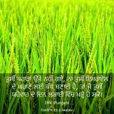 Picture 03 - ਹਿਜ਼ਕੀਏਲ 13:5 PANIRV - ਤੁਸੀਂ ਪਹਾੜਾਂ ਉੱਤੇ - Bible Verse Picture