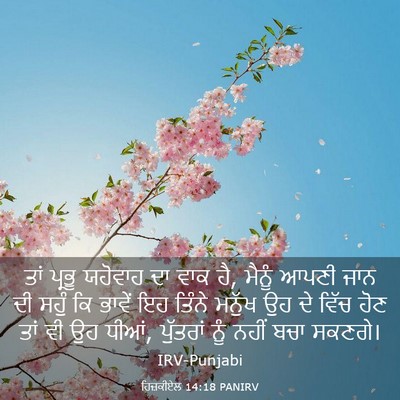 Picture 03 - ਹਿਜ਼ਕੀਏਲ 14:18 PANIRV - ਤਾਂ ਪ੍ਰਭੂ ਯਹੋਵਾਹ - Bible Verse Picture