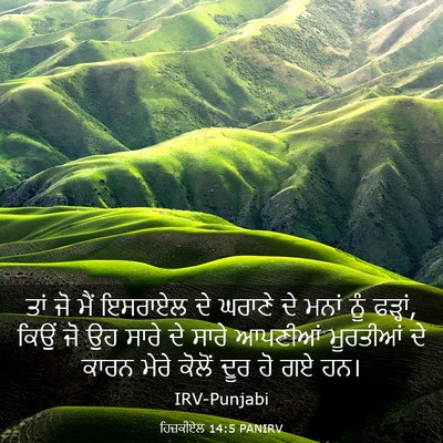 Picture 03 - ਹਿਜ਼ਕੀਏਲ 14:5 PANIRV - ਤਾਂ ਜੋ ਮੈਂ ਇਸਰਾਏਲ - Bible Verse Picture