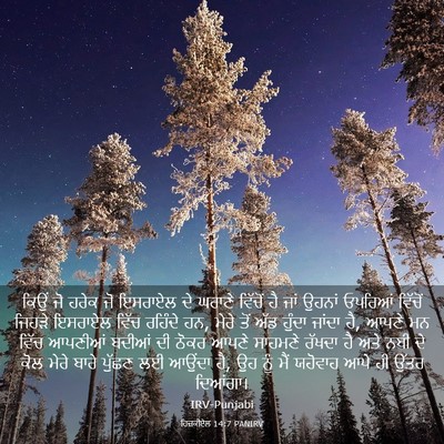 Picture 03 - ਹਿਜ਼ਕੀਏਲ 14:7 PANIRV - ਕਿਉਂ ਜੋ ਹਰੇਕ ਜੋ - Bible Verse Picture