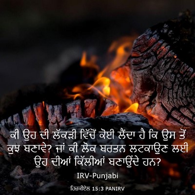 Picture 03 - ਹਿਜ਼ਕੀਏਲ 15:3 PANIRV - ਕੀ ਉਹ ਦੀ ਲੱਕੜੀ - Bible Verse Picture