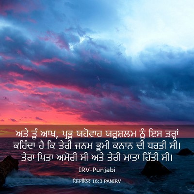 Picture 03 - ਹਿਜ਼ਕੀਏਲ 16:3 PANIRV - ਅਤੇ ਤੂੰ ਆਖ, ਪ੍ਰਭੂ - Bible Verse Picture