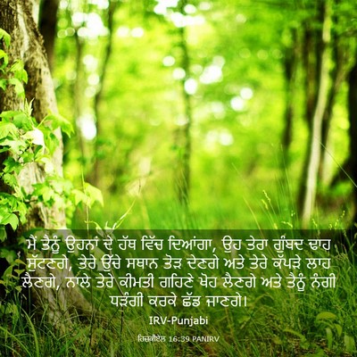 Picture 03 - ਹਿਜ਼ਕੀਏਲ 16:39 PANIRV - ਮੈਂ ਤੈਨੂੰ ਉਹਨਾਂ ਦੇ - Bible Verse Picture