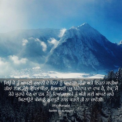 Picture 03 - ਹਿਜ਼ਕੀਏਲ 16:43 PANIRV - ਕਿਉਂ ਜੋ ਤੂੰ ਆਪਣੀ - Bible Verse Picture