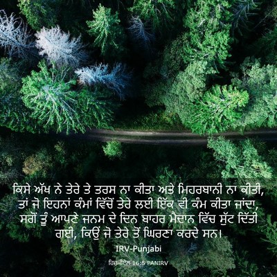 Picture 03 - ਹਿਜ਼ਕੀਏਲ 16:5 PANIRV - ਕਿਸੇ ਅੱਖ ਨੇ ਤੇਰੇ ਤੇ - Bible Verse Picture