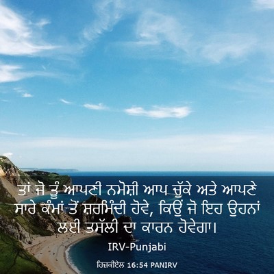 Picture 03 - ਹਿਜ਼ਕੀਏਲ 16:54 PANIRV - ਤਾਂ ਜੋ ਤੂੰ ਆਪਣੀ - Bible Verse Picture