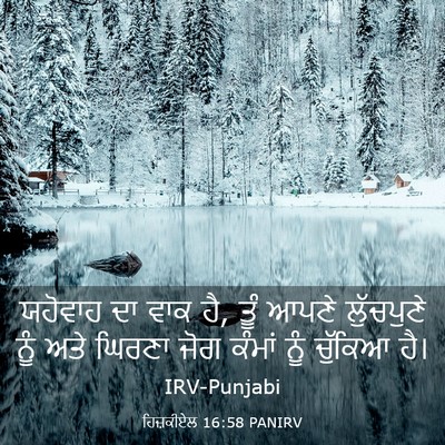 Picture 03 - ਹਿਜ਼ਕੀਏਲ 16:58 PANIRV - ਯਹੋਵਾਹ ਦਾ ਵਾਕ ਹੈ, - Bible Verse Picture