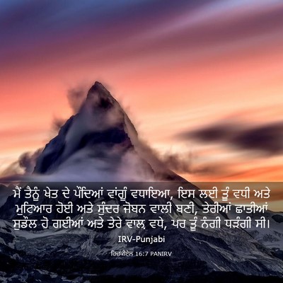 Picture 03 - ਹਿਜ਼ਕੀਏਲ 16:7 PANIRV - ਮੈਂ ਤੈਨੂੰ ਖੇਤ ਦੇ - Bible Verse Picture