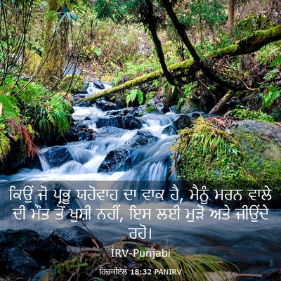 Picture 03 - ਹਿਜ਼ਕੀਏਲ 18:32 PANIRV - ਕਿਉਂ ਜੋ ਪ੍ਰਭੂ - Bible Verse Picture