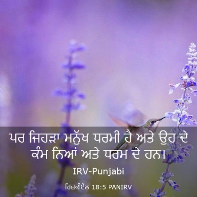 Picture 03 - ਹਿਜ਼ਕੀਏਲ 18:5 PANIRV - ਪਰ ਜਿਹੜਾ ਮਨੁੱਖ - Bible Verse Picture