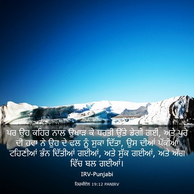 Picture 03 - ਹਿਜ਼ਕੀਏਲ 19:12 PANIRV - ਪਰ ਉਹ ਕਹਿਰ ਨਾਲ ਉਖਾੜ - Bible Verse Picture