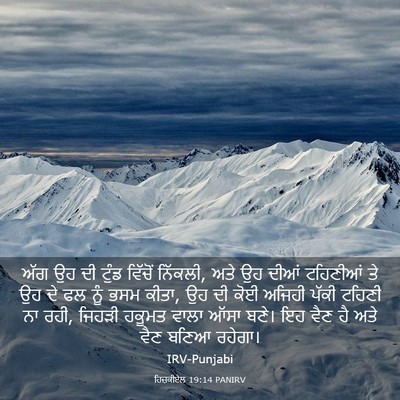 Picture 03 - ਹਿਜ਼ਕੀਏਲ 19:14 PANIRV - ਅੱਗ ਉਹ ਦੀ ਟੁੰਡ - Bible Verse Picture