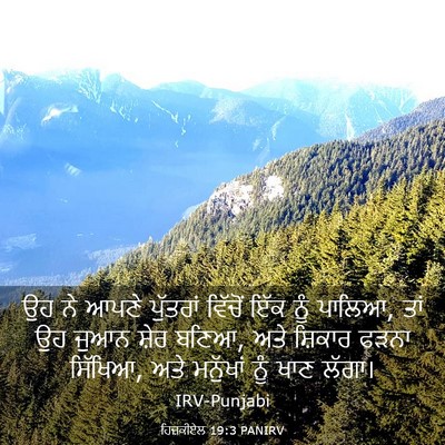 Picture 03 - ਹਿਜ਼ਕੀਏਲ 19:3 PANIRV - ਉਹ ਨੇ ਆਪਣੇ ਪੁੱਤਰਾਂ - Bible Verse Picture