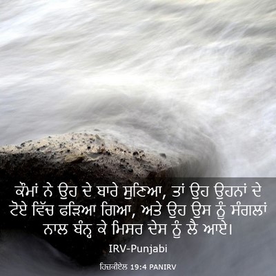 Picture 03 - ਹਿਜ਼ਕੀਏਲ 19:4 PANIRV - ਕੌਮਾਂ ਨੇ ਉਹ ਦੇ ਬਾਰੇ - Bible Verse Picture