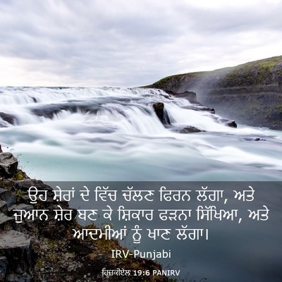 Picture 03 - ਹਿਜ਼ਕੀਏਲ 19:6 PANIRV - ਉਹ ਸ਼ੇਰਾਂ ਦੇ ਵਿੱਚ - Bible Verse Picture