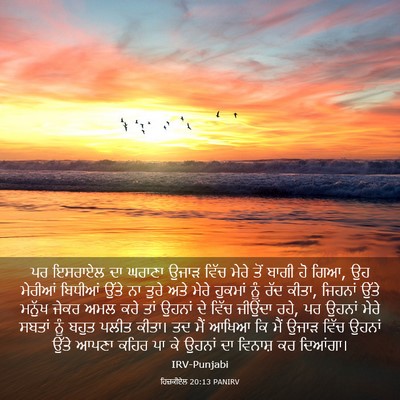 Picture 03 - ਹਿਜ਼ਕੀਏਲ 20:13 PANIRV - ਪਰ ਇਸਰਾਏਲ ਦਾ ਘਰਾਣਾ - Bible Verse Picture