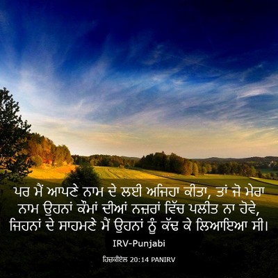 Picture 03 - ਹਿਜ਼ਕੀਏਲ 20:14 PANIRV - ਪਰ ਮੈਂ ਆਪਣੇ ਨਾਮ ਦੇ - Bible Verse Picture