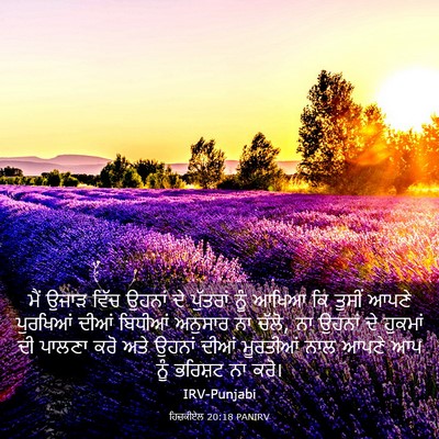 Picture 03 - ਹਿਜ਼ਕੀਏਲ 20:18 PANIRV - ਮੈਂ ਉਜਾੜ ਵਿੱਚ - Bible Verse Picture