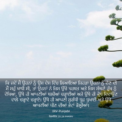 Picture 03 - ਹਿਜ਼ਕੀਏਲ 20:28 PANIRV - ਕਿ ਜਦੋਂ ਮੈਂ ਉਹਨਾਂ - Bible Verse Picture