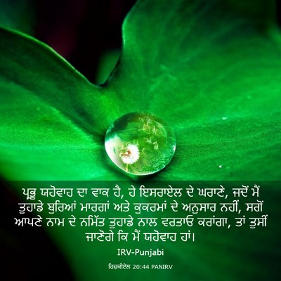 Picture 03 - ਹਿਜ਼ਕੀਏਲ 20:44 PANIRV - ਪ੍ਰਭੂ ਯਹੋਵਾਹ ਦਾ - Bible Verse Picture