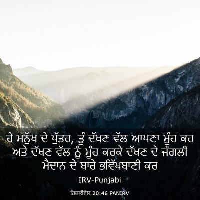 Picture 03 - ਹਿਜ਼ਕੀਏਲ 20:46 PANIRV - ਹੇ ਮਨੁੱਖ ਦੇ ਪੁੱਤਰ, - Bible Verse Picture