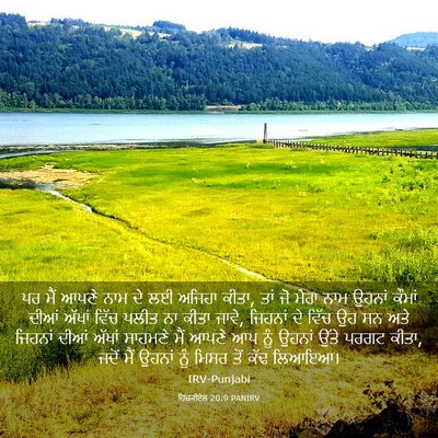 Picture 03 - ਹਿਜ਼ਕੀਏਲ 20:9 PANIRV - ਪਰ ਮੈਂ ਆਪਣੇ ਨਾਮ ਦੇ - Bible Verse Picture