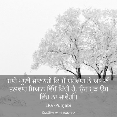 Picture 03 - ਹਿਜ਼ਕੀਏਲ 21:5 PANIRV - ਸਾਰੇ ਪ੍ਰਾਣੀ - Bible Verse Picture