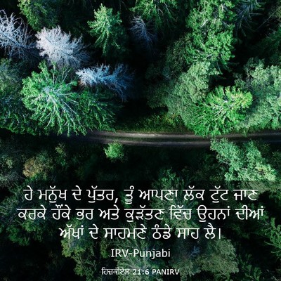 Picture 03 - ਹਿਜ਼ਕੀਏਲ 21:6 PANIRV - ਹੇ ਮਨੁੱਖ ਦੇ ਪੁੱਤਰ, - Bible Verse Picture