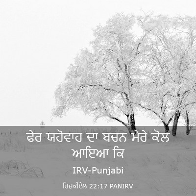 Picture 03 - ਹਿਜ਼ਕੀਏਲ 22:17 PANIRV - ਫੇਰ ਯਹੋਵਾਹ ਦਾ ਬਚਨ - Bible Verse Picture