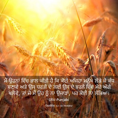 Picture 03 - ਹਿਜ਼ਕੀਏਲ 22:30 PANIRV - ਮੈਂ ਉਹਨਾਂ ਵਿੱਚ ਭਾਲ - Bible Verse Picture