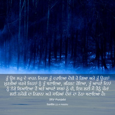 Picture 03 - ਹਿਜ਼ਕੀਏਲ 22:4 PANIRV - ਤੂੰ ਉਸ ਲਹੂ ਦੇ ਕਾਰਨ - Bible Verse Picture