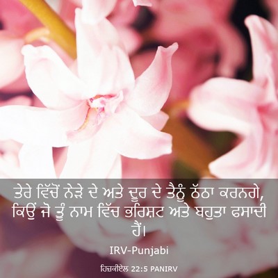 Picture 03 - ਹਿਜ਼ਕੀਏਲ 22:5 PANIRV - ਤੇਰੇ ਵਿੱਚੋਂ ਨੇੜੇ - Bible Verse Picture