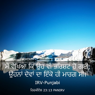 Picture 03 - ਹਿਜ਼ਕੀਏਲ 23:13 PANIRV - ਮੈਂ ਵੇਖਿਆ ਕਿ ਉਹ ਵੀ - Bible Verse Picture