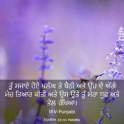 Picture 03 - ਹਿਜ਼ਕੀਏਲ 23:41 PANIRV - ਤੂੰ ਸਜਾਏ ਹੋਏ ਪਲੰਘ - Bible Verse Picture