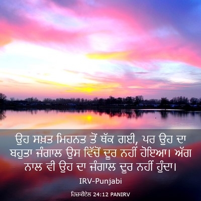 Picture 03 - ਹਿਜ਼ਕੀਏਲ 24:12 PANIRV - ਉਹ ਸਖ਼ਤ ਮਿਹਨਤ ਤੋਂ - Bible Verse Picture