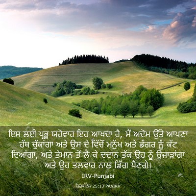 Picture 03 - ਹਿਜ਼ਕੀਏਲ 25:13 PANIRV - ਇਸ ਲਈ ਪ੍ਰਭੂ ਯਹੋਵਾਹ - Bible Verse Picture