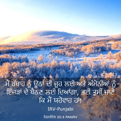 Picture 03 - ਹਿਜ਼ਕੀਏਲ 25:5 PANIRV - ਮੈਂ ਰੱਬਾਹ ਨੂੰ ਊਠਾਂ - Bible Verse Picture