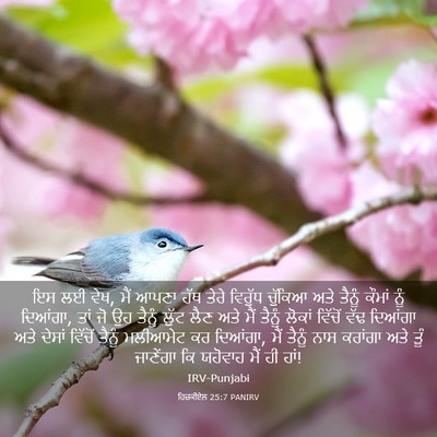 Picture 03 - ਹਿਜ਼ਕੀਏਲ 25:7 PANIRV - ਇਸ ਲਈ ਵੇਖ, ਮੈਂ ਆਪਣਾ - Bible Verse Picture
