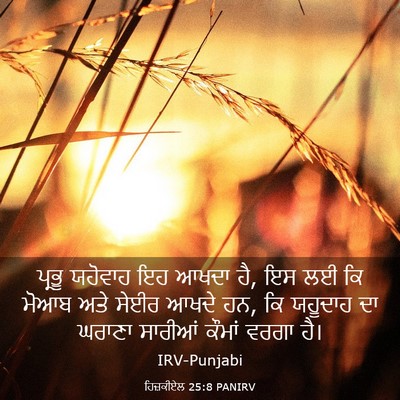 Picture 03 - ਹਿਜ਼ਕੀਏਲ 25:8 PANIRV - ਪ੍ਰਭੂ ਯਹੋਵਾਹ ਇਹ - Bible Verse Picture