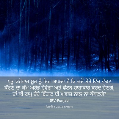 Picture 03 - ਹਿਜ਼ਕੀਏਲ 26:15 PANIRV - ਪ੍ਰਭੂ ਯਹੋਵਾਹ ਸੂਰ - Bible Verse Picture