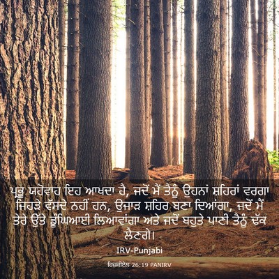 Picture 03 - ਹਿਜ਼ਕੀਏਲ 26:19 PANIRV - ਪ੍ਰਭੂ ਯਹੋਵਾਹ ਇਹ - Bible Verse Picture