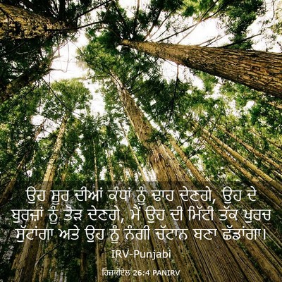 Picture 03 - ਹਿਜ਼ਕੀਏਲ 26:4 PANIRV - ਉਹ ਸੂਰ ਦੀਆਂ ਕੰਧਾਂ - Bible Verse Picture