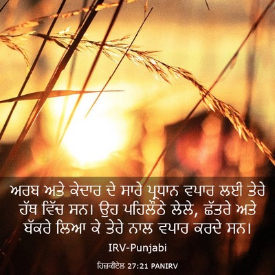 Picture 03 - ਹਿਜ਼ਕੀਏਲ 27:21 PANIRV - ਅਰਬ ਅਤੇ ਕੇਦਾਰ ਦੇ - Bible Verse Picture