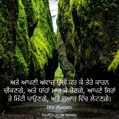 Picture 03 - ਹਿਜ਼ਕੀਏਲ 27:30 PANIRV - ਅਤੇ ਆਪਣੀ ਅਵਾਜ਼ - Bible Verse Picture